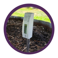 soil temperature
