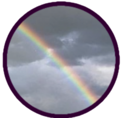 Download Ash31 Live Weather Data to your Phone