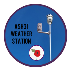 Est.2022        Last Update 8/11/25